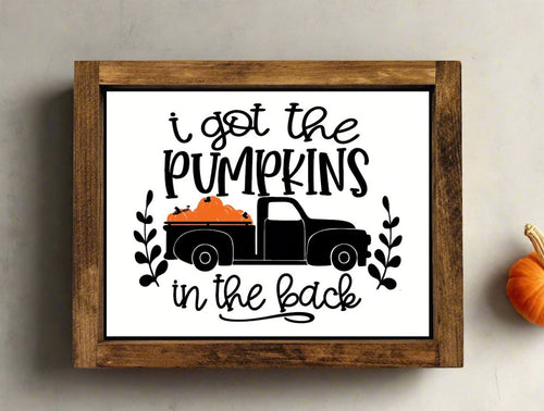 F1009 - Pumpkins in the back F1009