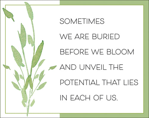 M1011- Before We Bloom