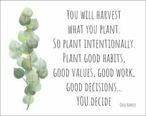 Harvest the Good